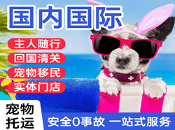 南宁吴圩机场物流国际宠物托运 【国
